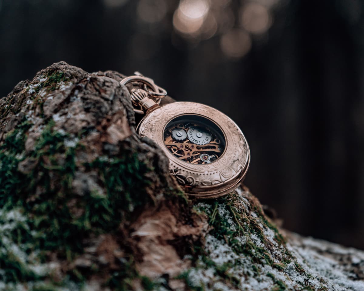 Snitch watch